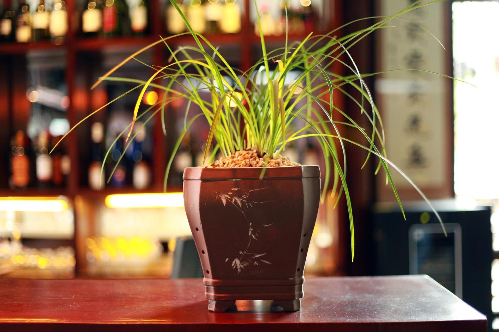 Jun Bo Xuan Boutique Hotel Lệ Giang Ngoại thất bức ảnh
